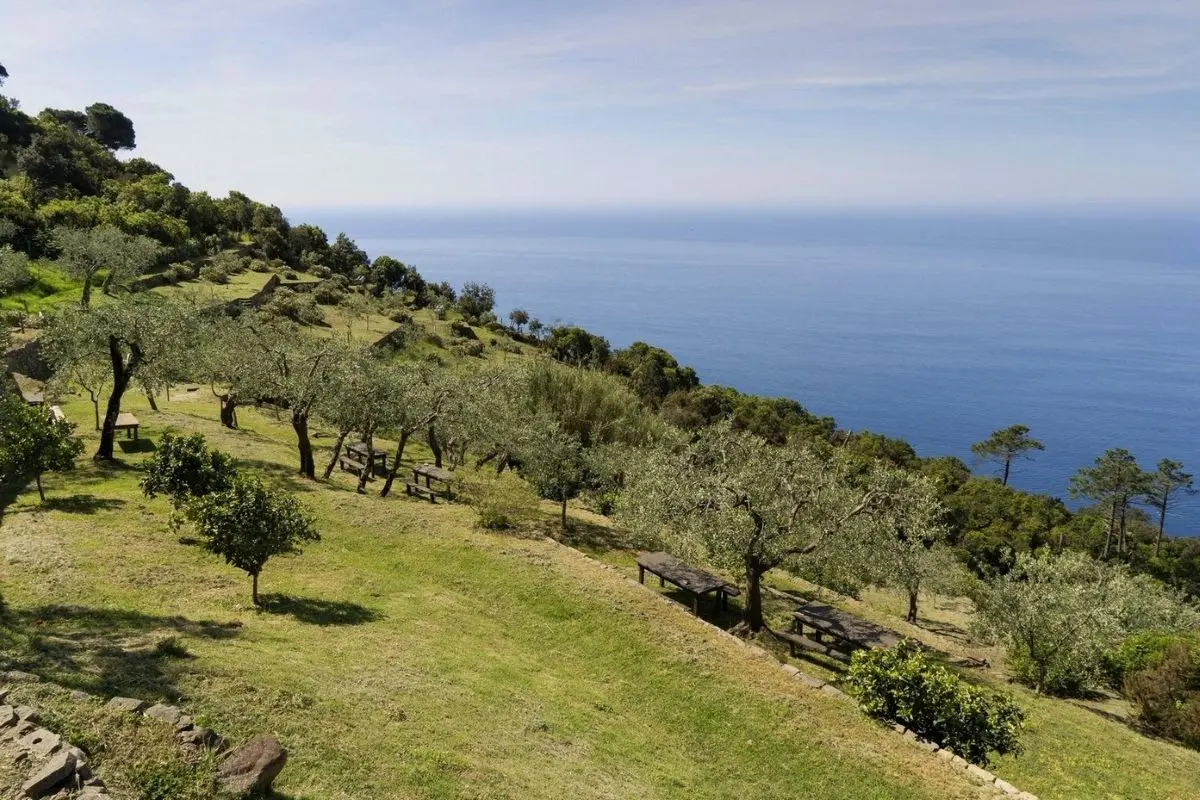 Riapre Podere Lovara, il Bene Fai a picco sul mare delle Cinque Terre
