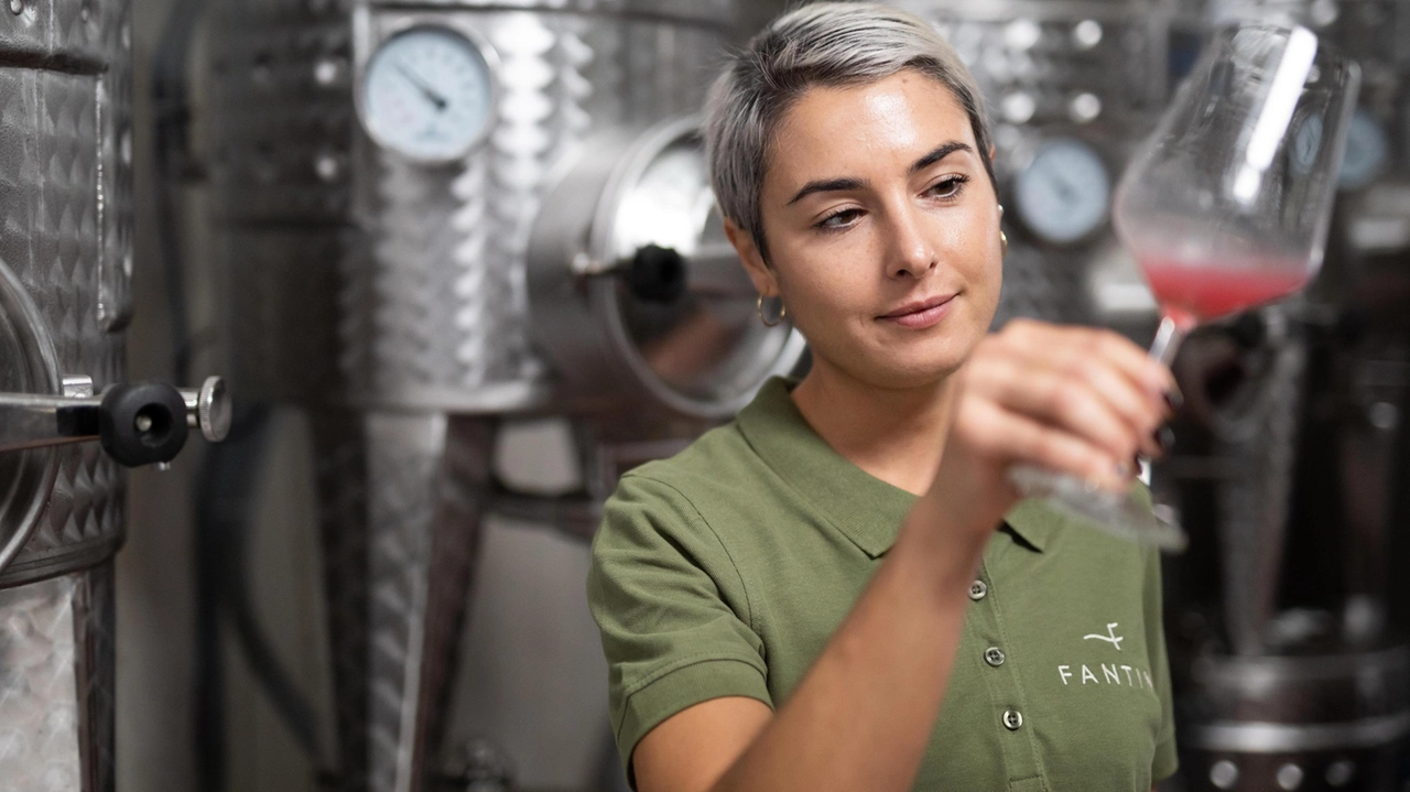 Modello Fantini Wines: innovazione, resilienza e orizzonti emergenti