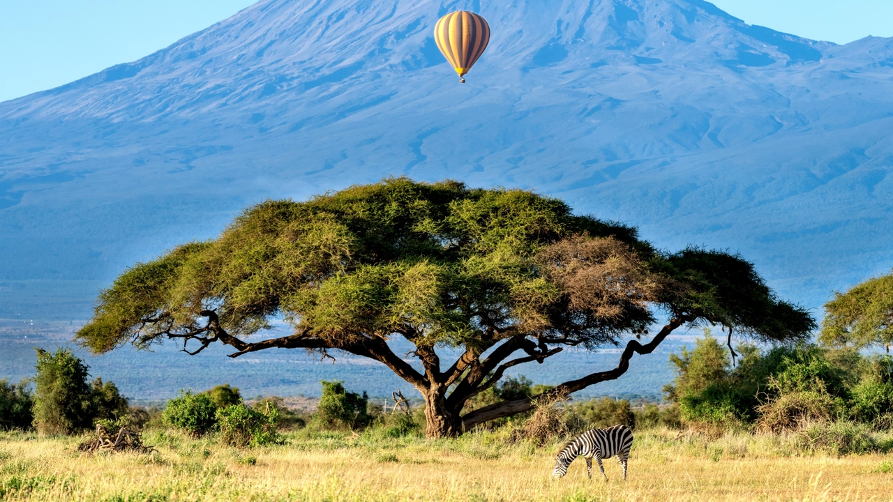 Kenya selvaggio: l’anima libera dell’Africa tra terra rossa e mare turchese